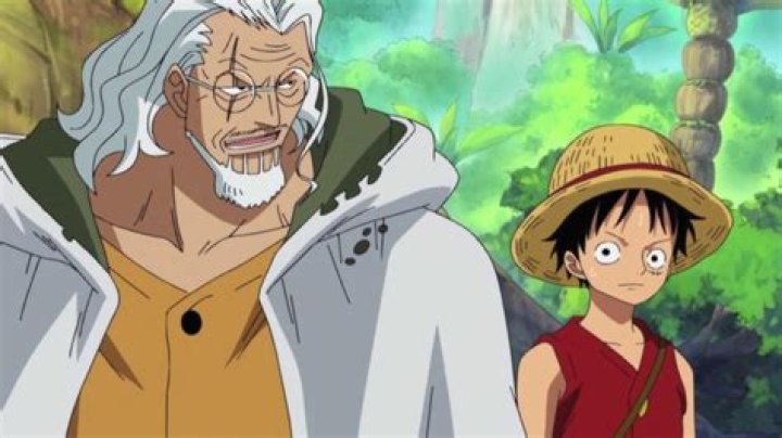 What Episode Does Luffy Train With Rayleigh? 