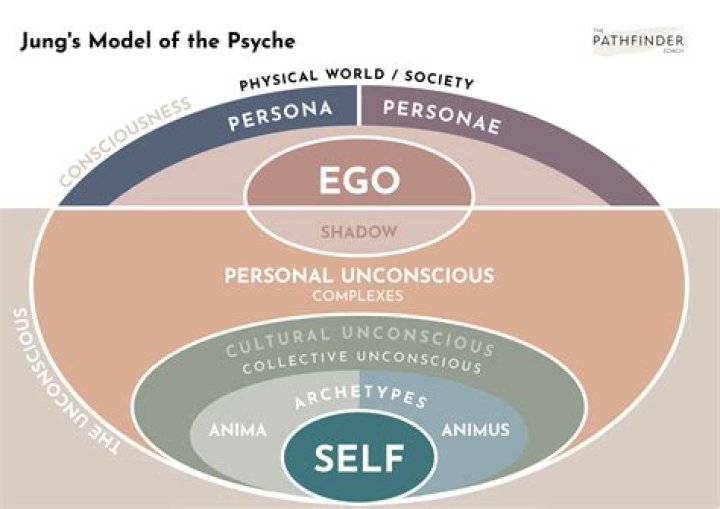 What Happened Allows You To Explore The Human Psyche