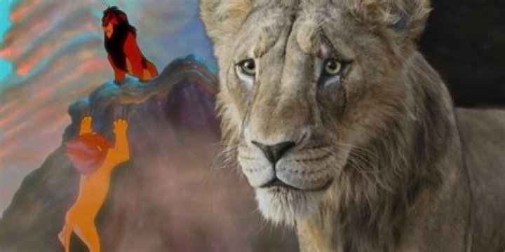 What Happened To Mufasa’s Body?