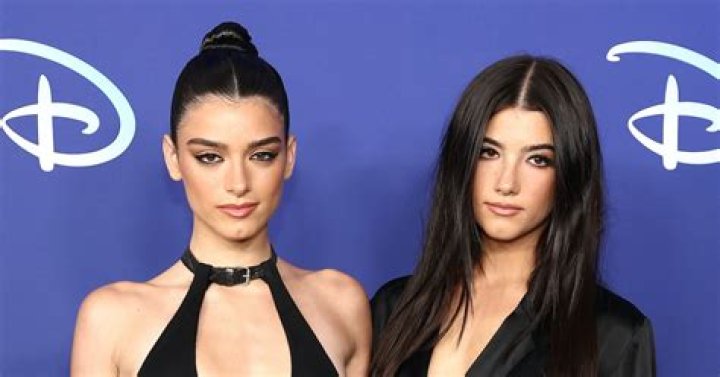 What Is Charli & Dixie D'Amelio's Net Worth? TikTok & Their Hulu Show Have Made The Sisters Rich