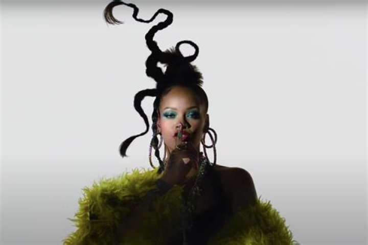What Is Rihanna's Net Worth? She Won't Get Paid For The Super Bowl Halftime Show