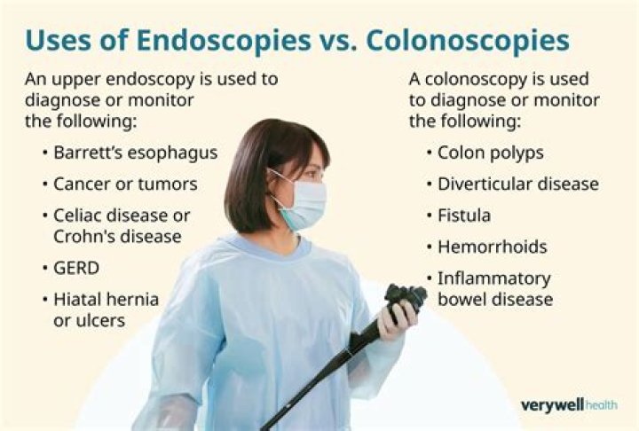 What Is The Difference Between a Small Bowel Enteroscopy and a Colonoscopy?