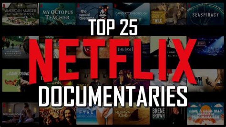 What Is The Latest Netflix Documentary About?