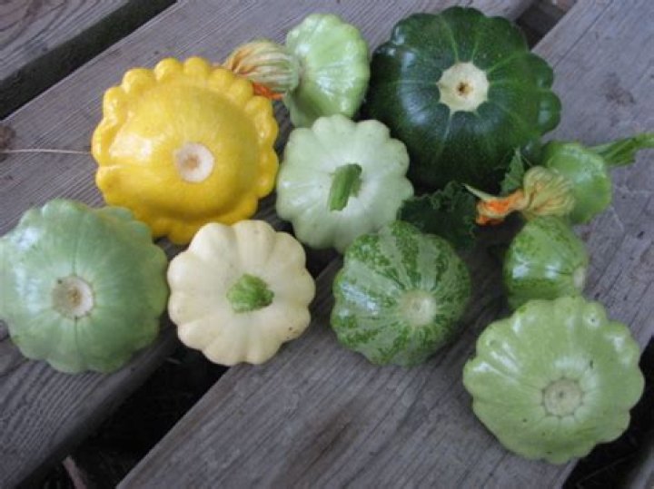 What squash is white?