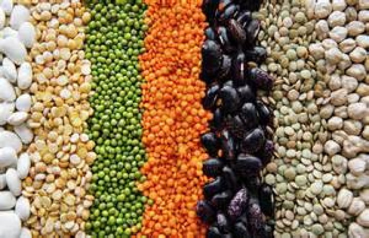 What texture do beans have?