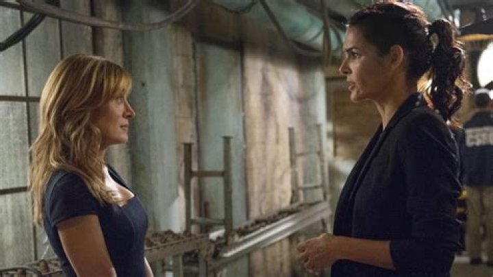 What The Actor Who Played Kate On NCIS Has Been Doing Since Leaving The Show