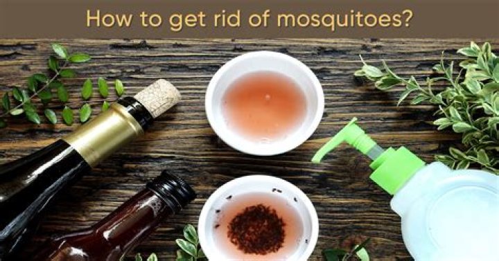 What to do when mosquitoes swarm