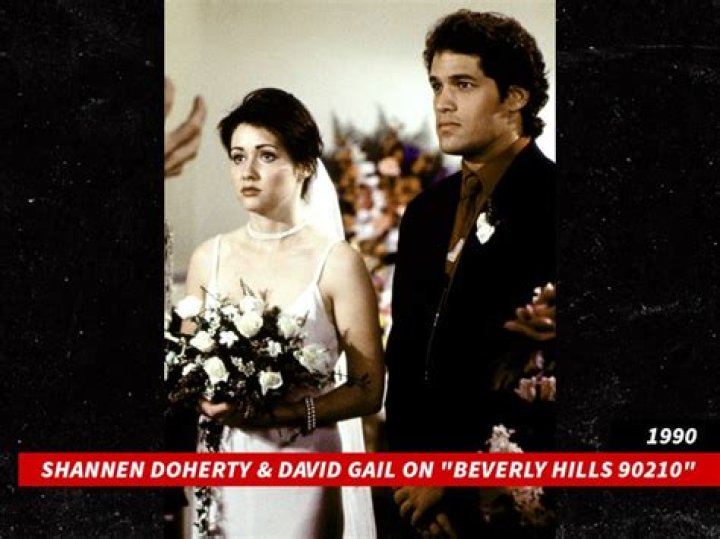 What Was David Gail's Cause Of Death? New Details Of Beverly Hills 90210 Star's Demise Revealed