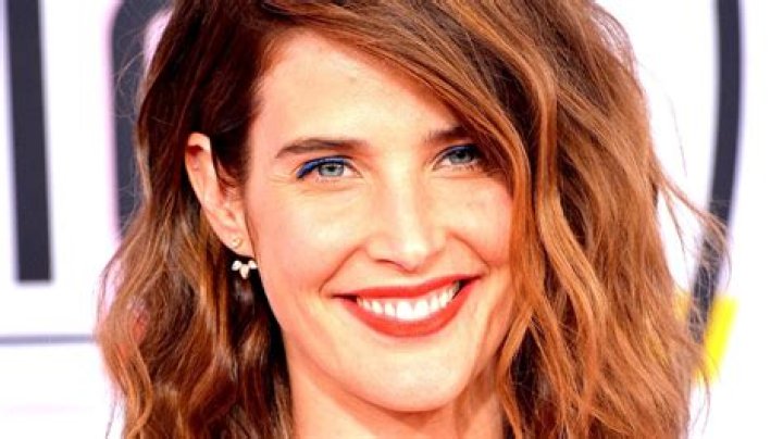 Where Cobie Smulders From How I Met Your Mother Is Now