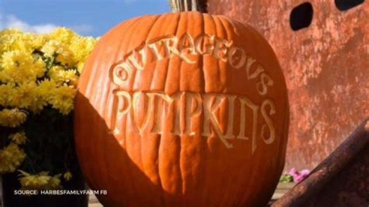 Where is 2021 Outrageous Pumpkins filmed?