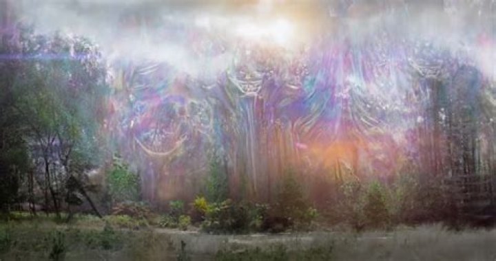 Where Is Area X In 'Annihilation' Supposed To Be? The Mysterious Place Is Full Of Terrors