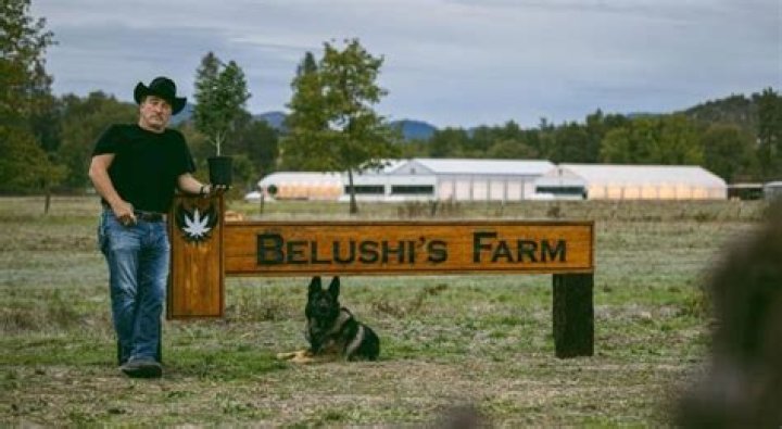 Where is Growing Belushi Filmed?