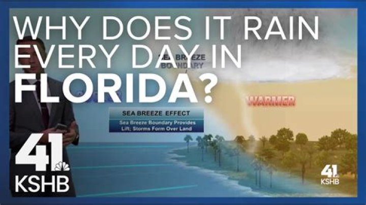 Where It Does Rain Everyday