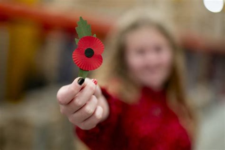 Which side should I wear my poppy on for Remembrance Day? – The Sun