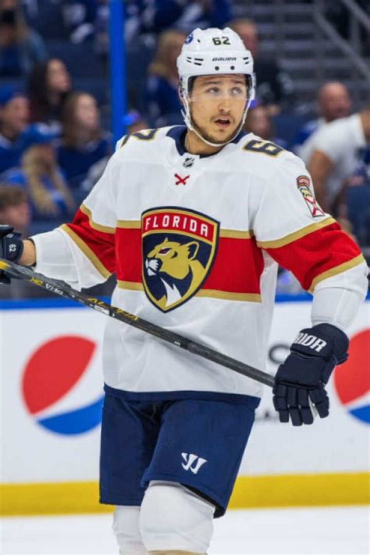 Who Are Cam And Tammy Montour? Panthers Brandon Montour Parents