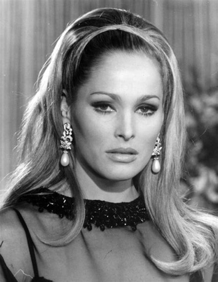 Who is Dimitri Hamlin? Harry Hamlin and Ursula Andress Son