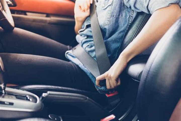 Who is required to wear a seatbelt in florida