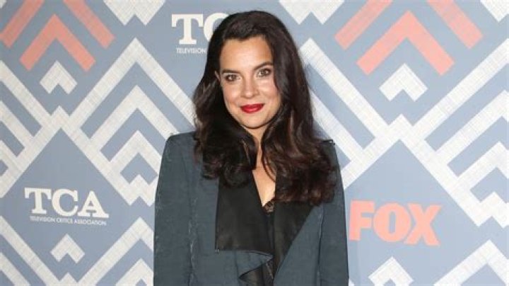 Who plays DA Vanessa Hadid on Law & Order: SVU? Zuleikha Robinson joins Season 21 cast