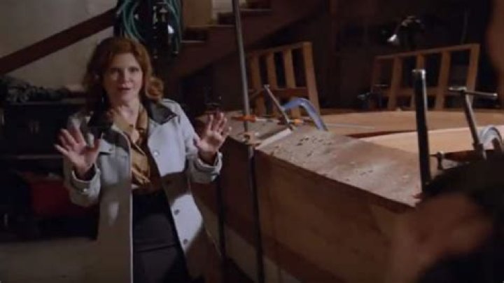 Who plays Diane on NCIS? Melinda McGraw returns, Joe Spano plays Fornell