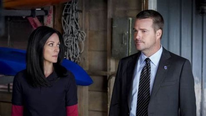 Who plays Joelle on NCIS: Los Angeles cast? Elizabeth Bogush made her mark