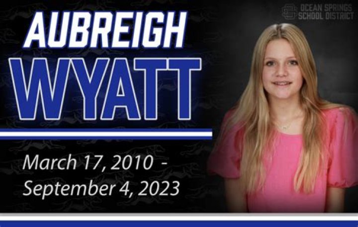 Who Were The Bullies Of Aubrey Wyatt?