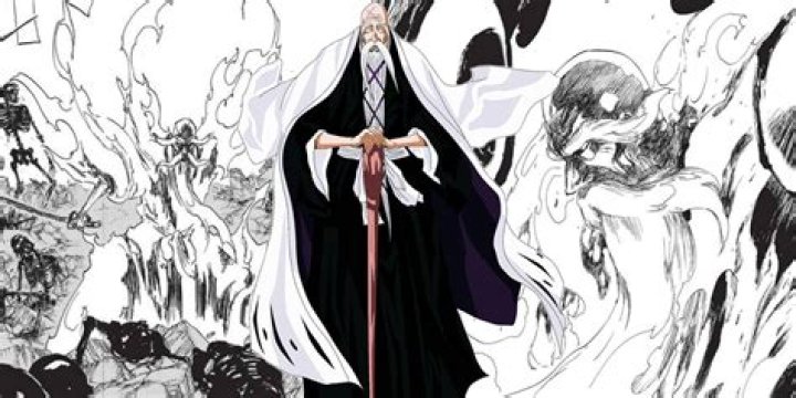 Who Will Become the Captain Commander In Bleach After Genryūsai Shigekuni Yamamoto’s Death?