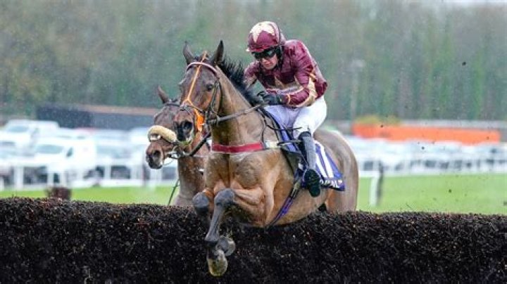 Who won the 2.50 at Chepstow? Welsh Grand National result and FULL finishing order for huge race