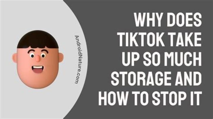 Why Does Tiktok Take Up So Much Storage?