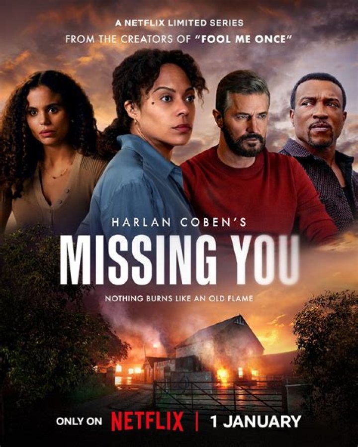 Why It's Missing from Netflix and Where to Watch Now