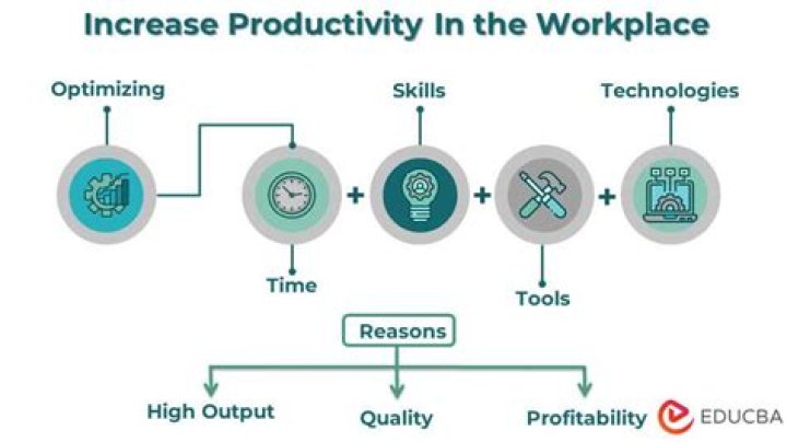 Why planning your day is vital for productivity (and how to do it)