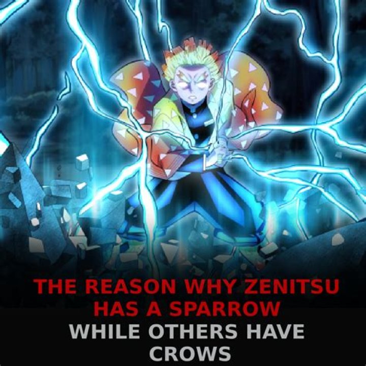 Why Zenitsu Has A Sparrow, While The Other Demon Slayers Have Crows