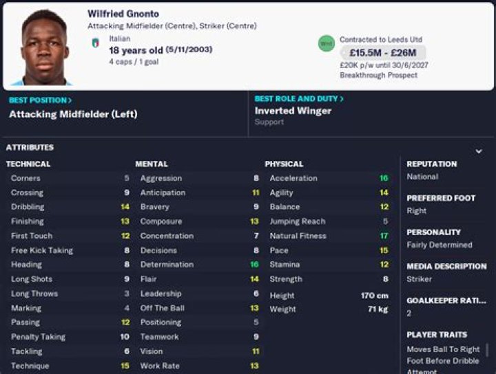 Wilfried Gnonto - Player profile 23/24