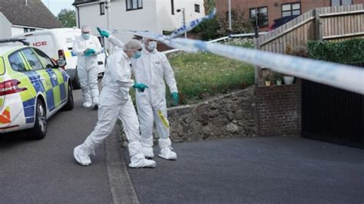 Woman, 35, arrested on suspicion of murder after cops probe 'concern for welfare' of two people at Chelmsford house