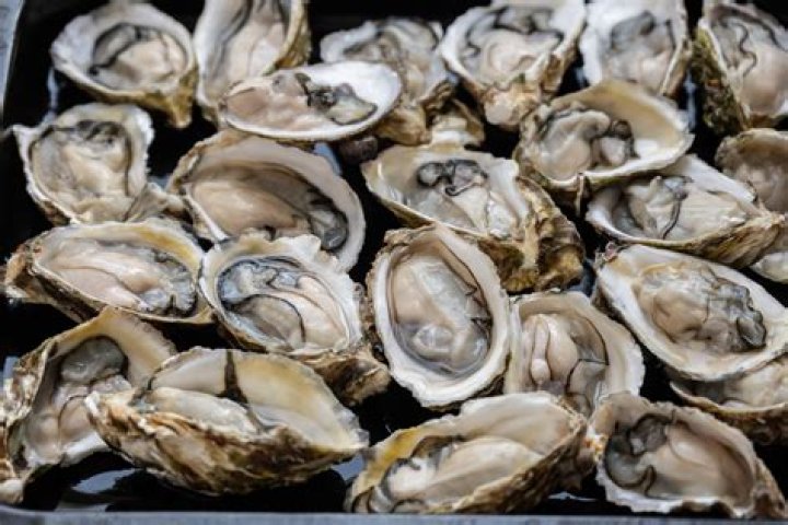 Woman Devours 48 Oysters on Date, Find Out the Whole Viral Date Story
