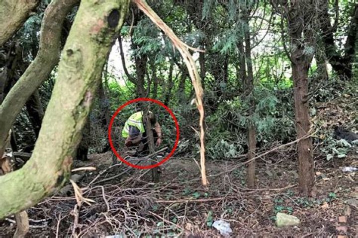 Woman horrified to find Amazon delivery driver taking a poo in her garden