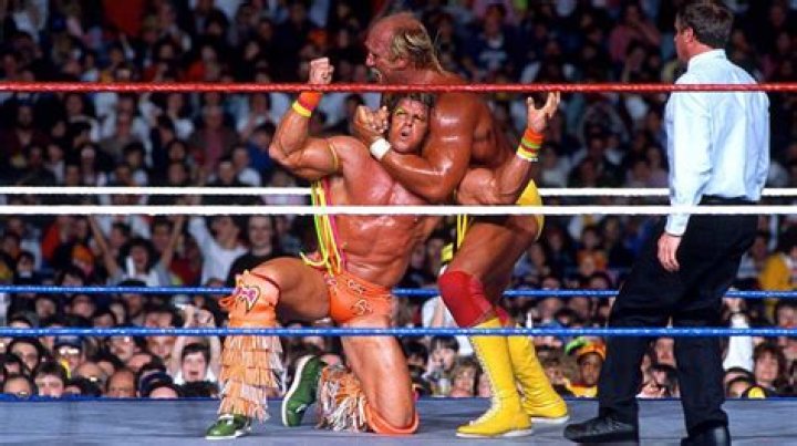 WWE Region, Third Round, Steel Cage Match: (3) John Cena vs. (6) Ultimate Warrior