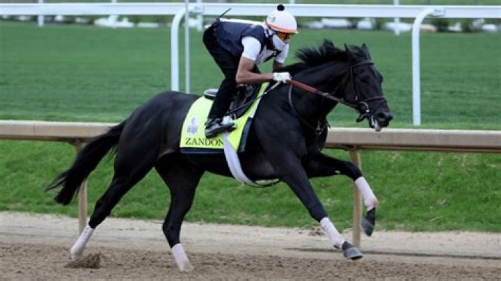 Zandon is 3-1 favorite for Kentucky Derby at Churchill Downs