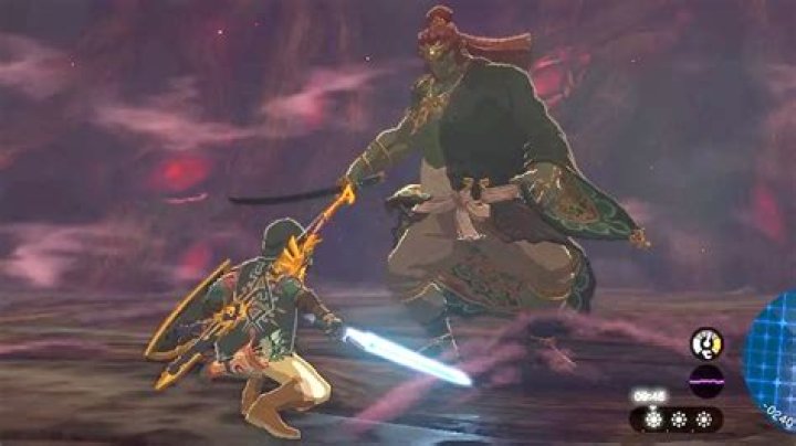 Zelda Fans Can't Get Over Tears of the Kingdom's 